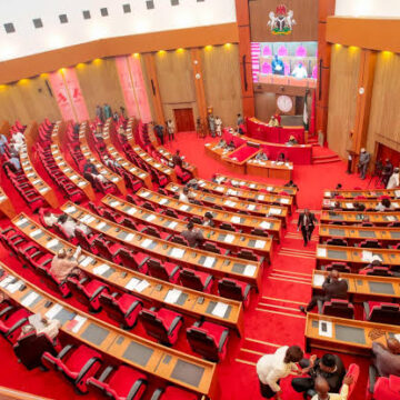 Senate Senate To Probe Relief For Adamawa Attack Victims