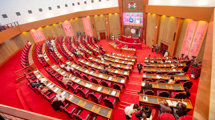 Senate Senate To Probe Relief For Adamawa Attack Victims