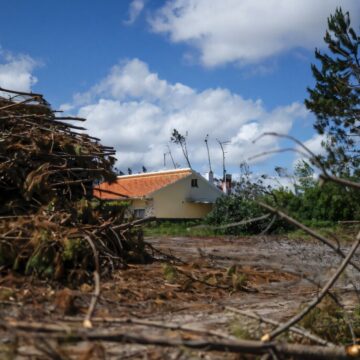 After Winter Storms, Fires Now Threaten Portugal's Forests After Winter Storms, Fires Now Threaten Portugal’s Forests