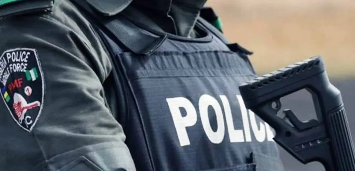 Nigeria Police Urge Calm Over South Africa Attacks