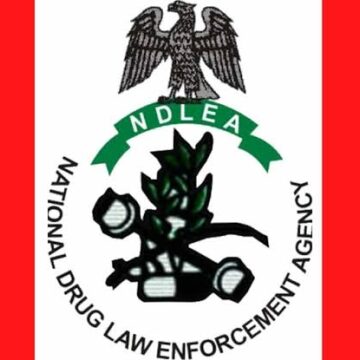 NDLEA Arrests 533 Suspects In Oyo For Alleged Drug Crimes