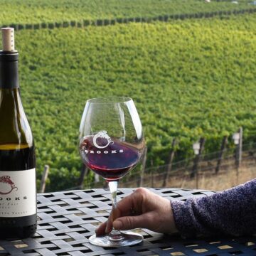 Global Wine Consumption Falls As Consumers Tighten Spending