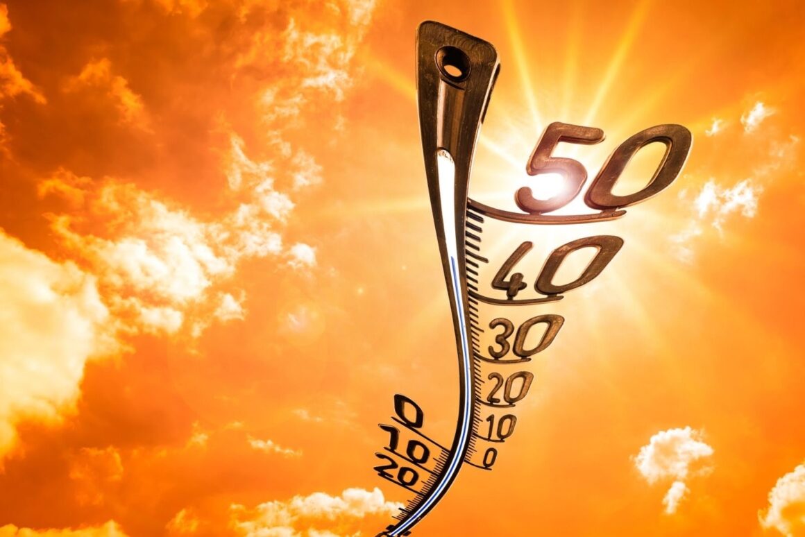 WHO Issues Heat Health Alert: 6 Ways To Stay Safe In Extreme Heat 