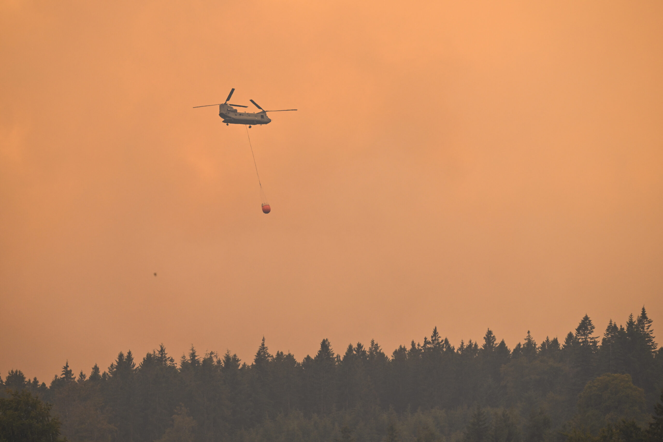 Belgium Wildfire Makes Massive Spread Overnight