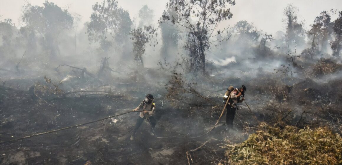 Indonesia Wildfires Send Thick Haze Across Borneo, Raising Health Concerns