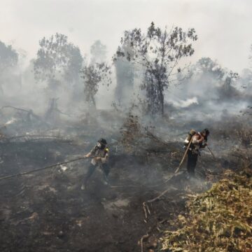 Indonesia Wildfires Send Thick Haze Across Borneo, Raising Health Concerns Indonesia Wildfires Send Thick Haze Across Borneo, Raising Health Concerns